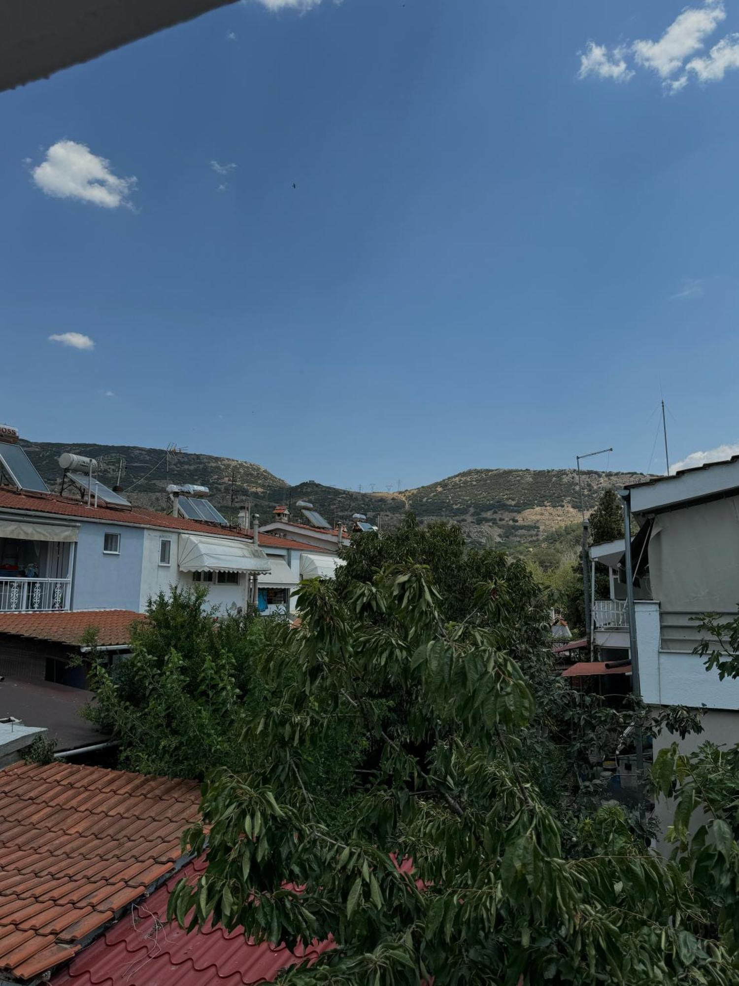 Apartment Dolphin Kavala